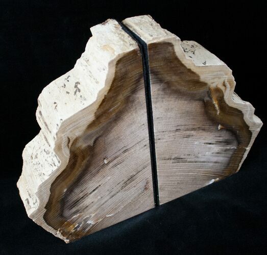 Oregon Petrified Wood Bookends - Ash #12664